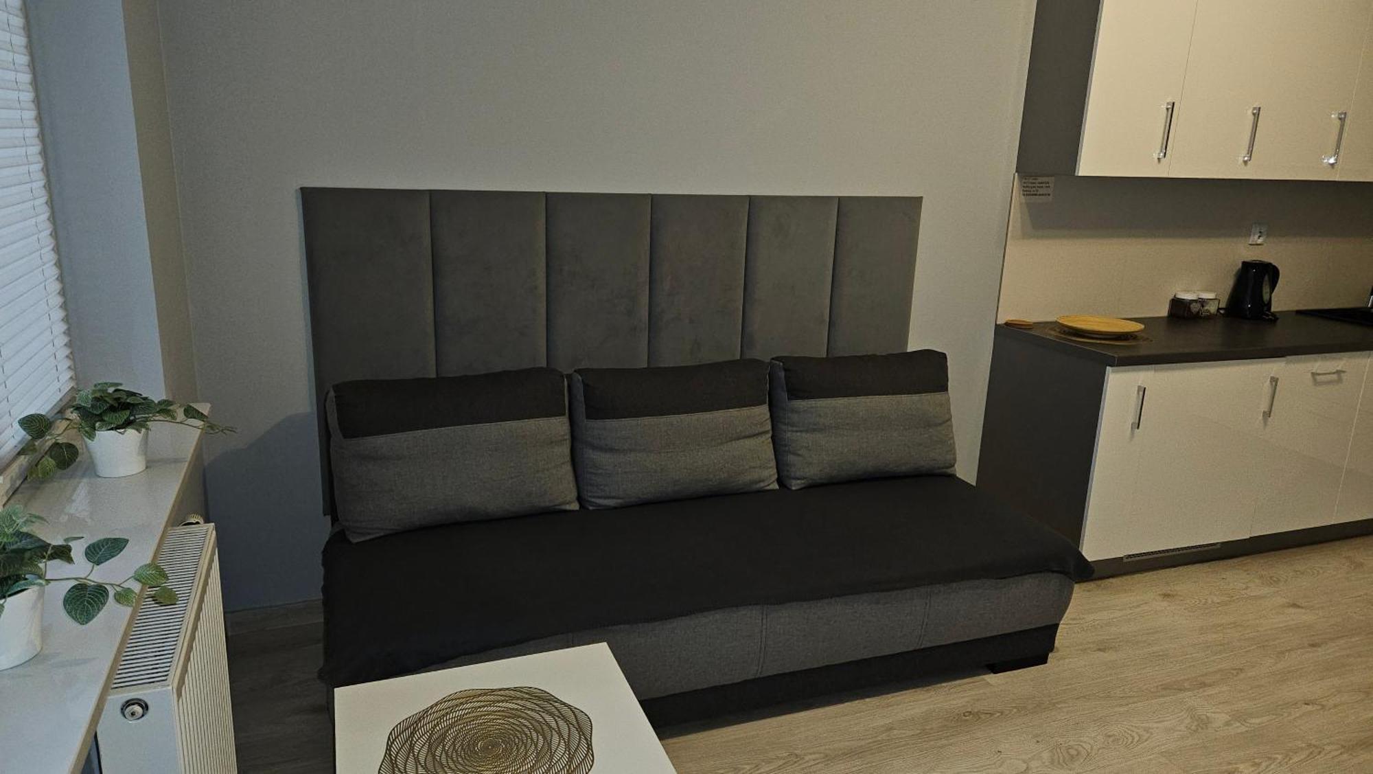 Jedenastka Apartment Plock Ngoại thất bức ảnh